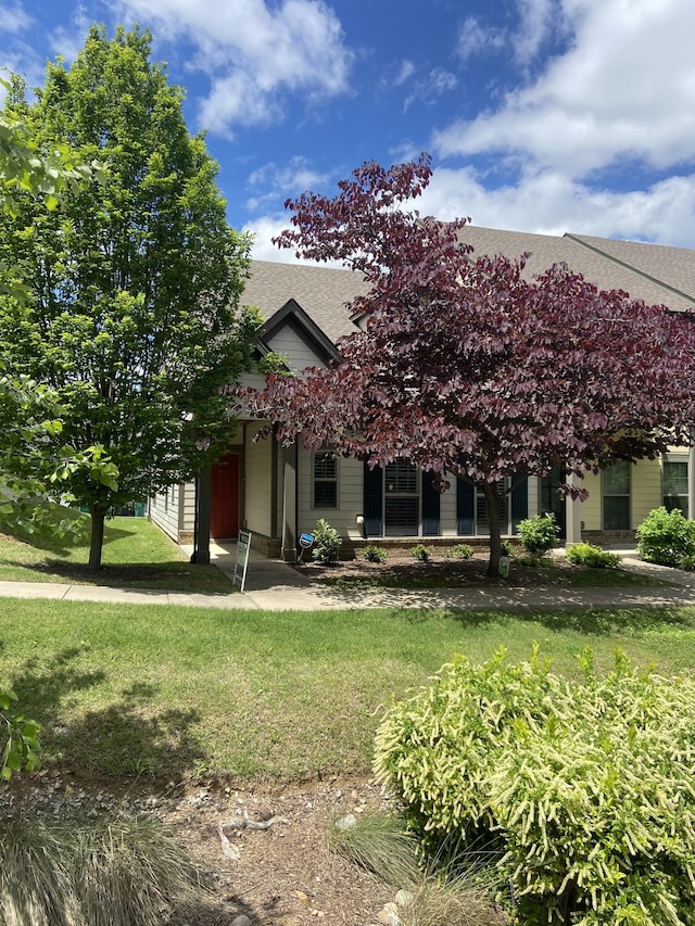 view of property hidden behind natural elements with a front lawn and roof with shingles