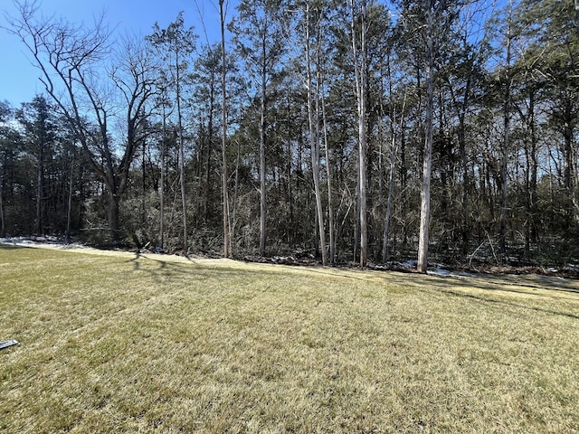 view of yard with a forest view