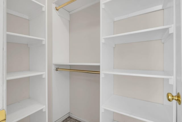 view of walk in closet