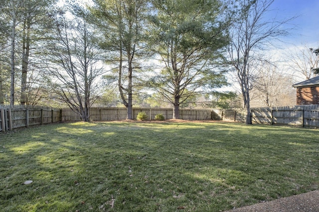 view of yard with a fenced backyard