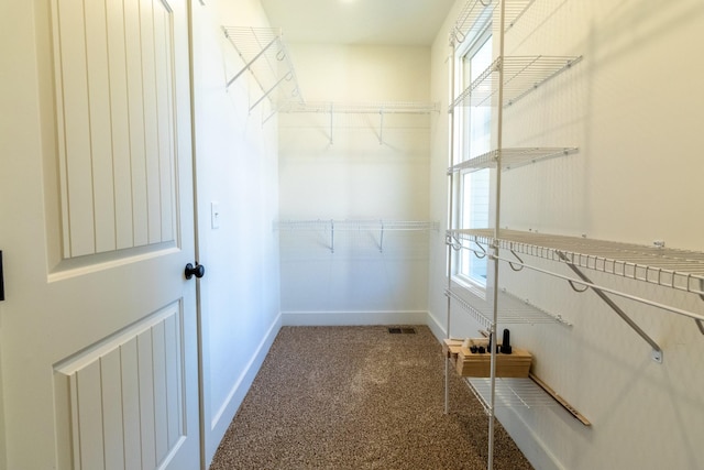 spacious closet with carpet floors and visible vents