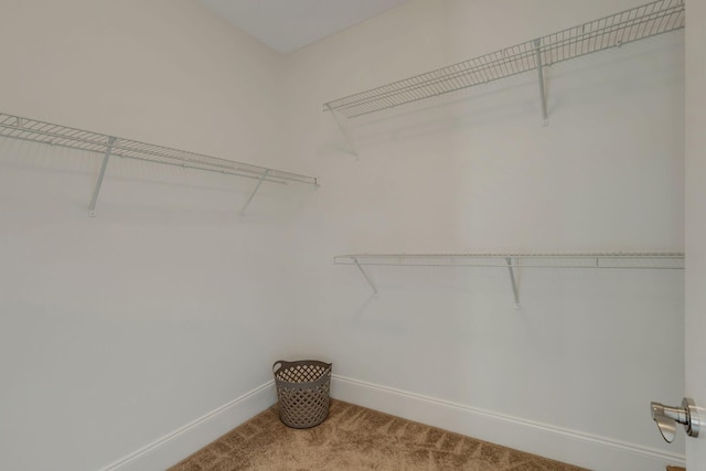 spacious closet with carpet floors