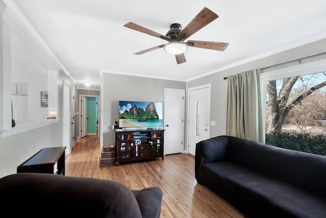 living room with a ceiling fan, attic access, ornamental molding, and wood finished floors