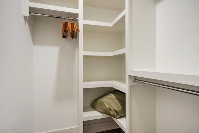 view of spacious closet