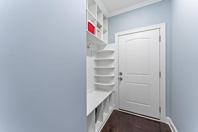 mudroom featuring dark wood-style flooring and crown molding