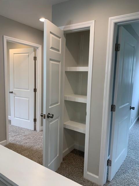 view of closet