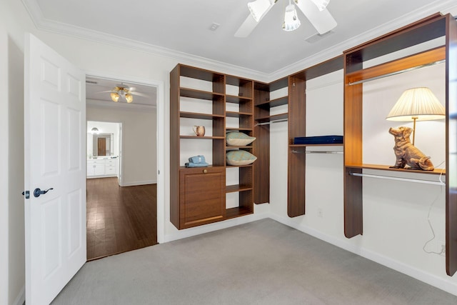 spacious closet featuring carpet, ceiling fan, and wood finished floors