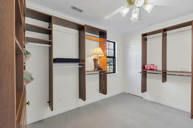 walk in closet featuring carpet floors, visible vents, and ceiling fan