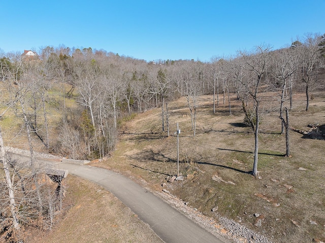 0 Riverbend Ln, Bath Springs TN, 38311 land for sale