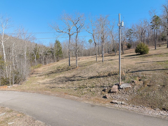 Listing photo 3 for 0 Riverbend Ln, Bath Springs TN 38311