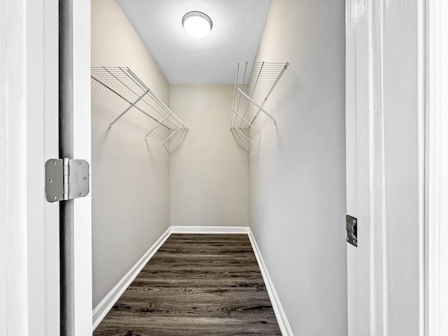 walk in closet featuring dark wood-style flooring