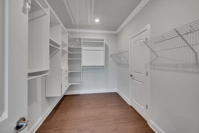 spacious closet with dark wood finished floors and attic access