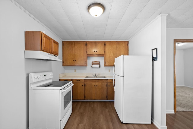 kitchen with white appliances, brown cabinetry, light countertops, under cabinet range hood, and a sink