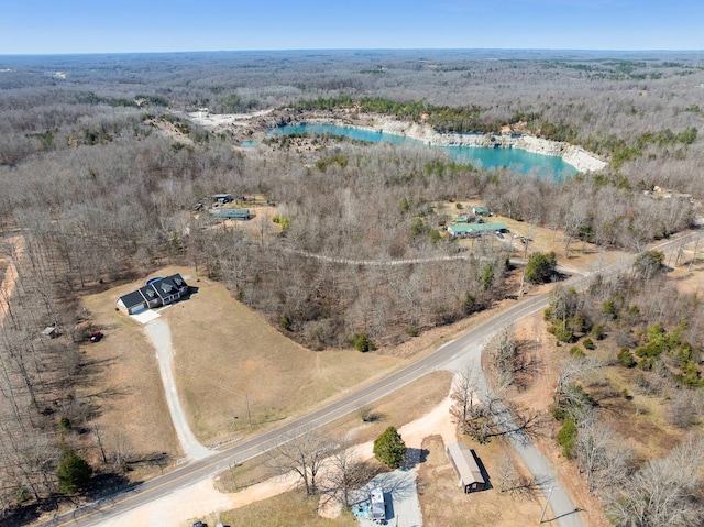 drone / aerial view with a forest view