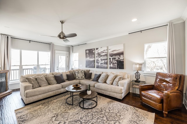 living area with dark wood-type flooring, a healthy amount of sunlight, ornamental molding, and ceiling fan