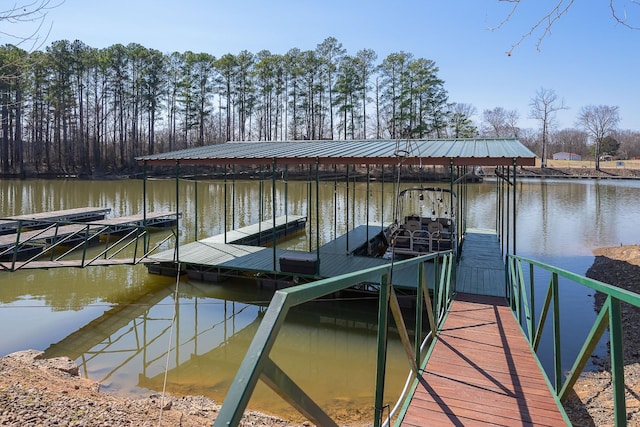 dock area with a water view