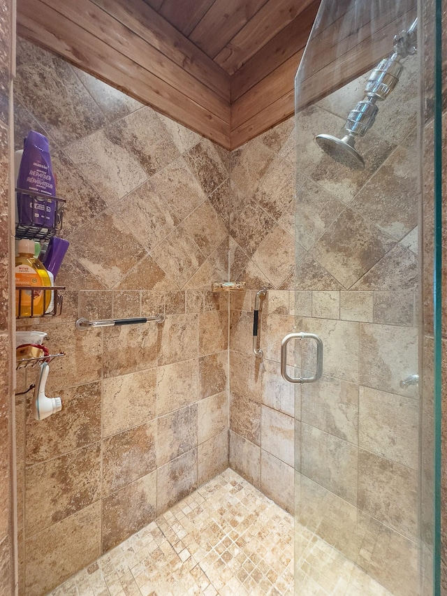 bathroom featuring a shower stall