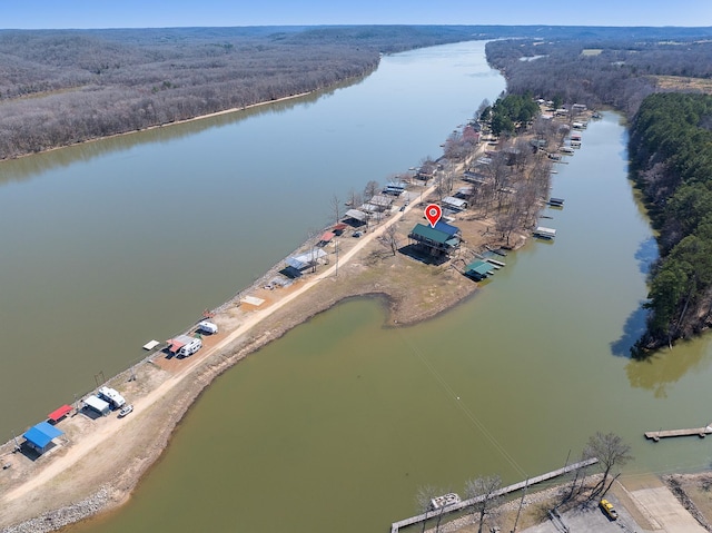 aerial view with a water view and a view of trees