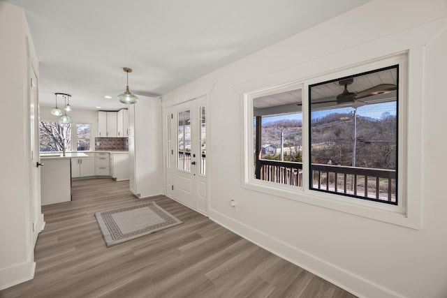 interior space featuring a healthy amount of sunlight, baseboards, and wood finished floors