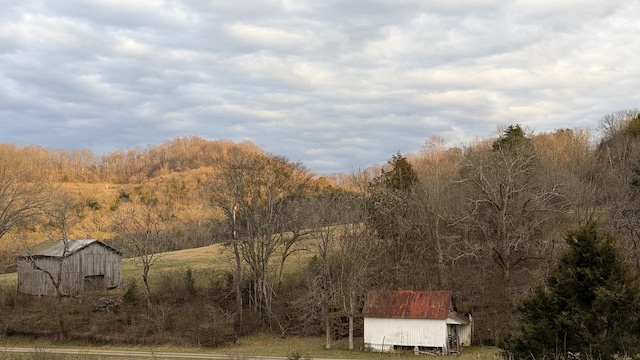 property view of mountains with a view of trees