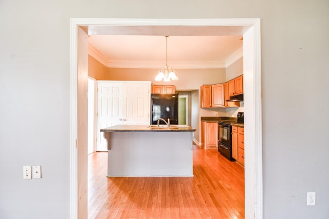 kitchen featuring under cabinet range hood, crown molding, light wood-style flooring, and black appliances