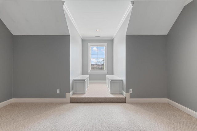 bonus room with carpet and baseboards