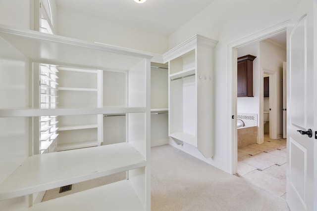 spacious closet with light colored carpet