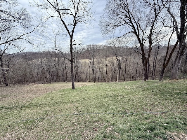 view of yard featuring a forest view