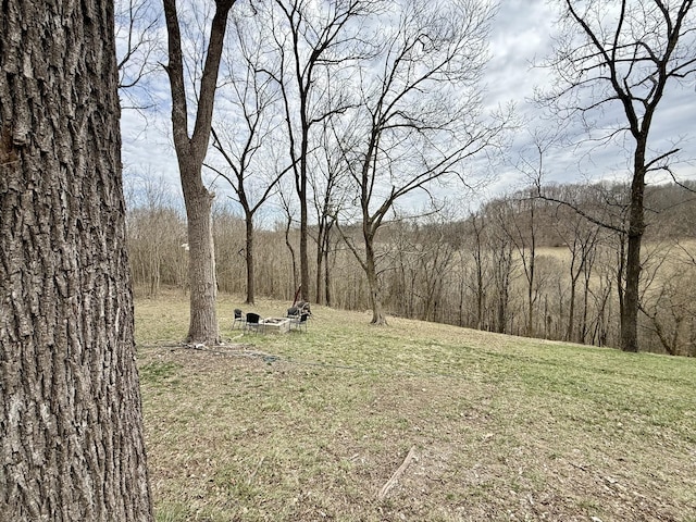 view of yard with a forest view