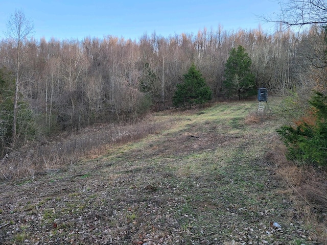 2 Hannah Branch Rd, Petersburg TN, 37144 land for sale