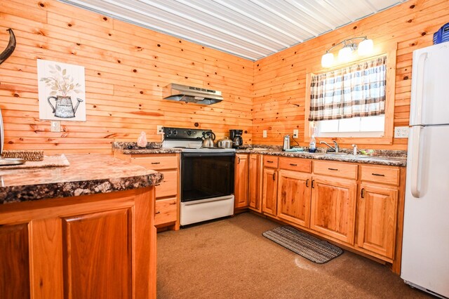 kitchen featuring under cabinet range hood, wood walls, a sink, freestanding refrigerator, and electric range oven