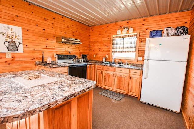 kitchen featuring under cabinet range hood, electric range, carpet flooring, a sink, and freestanding refrigerator