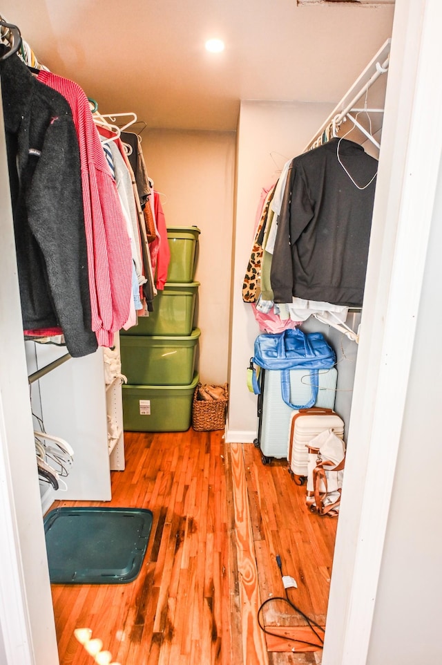 walk in closet featuring wood finished floors