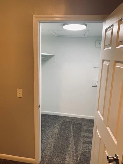 spacious closet featuring carpet floors