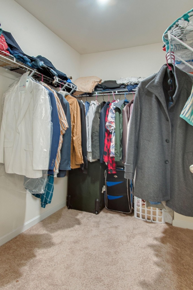 spacious closet featuring carpet floors