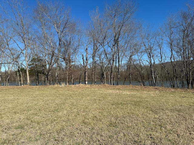 view of yard featuring a water view