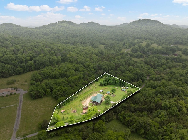 bird's eye view featuring a mountain view and a forest view