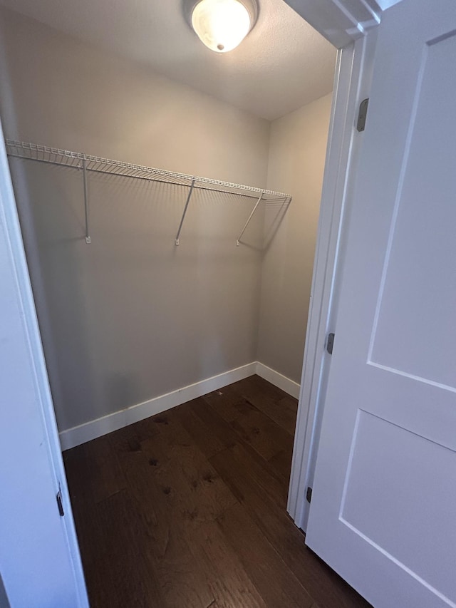 walk in closet with dark wood-style floors