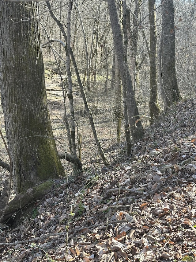 0 Buck Branch Rd, Duck River, TN 38454