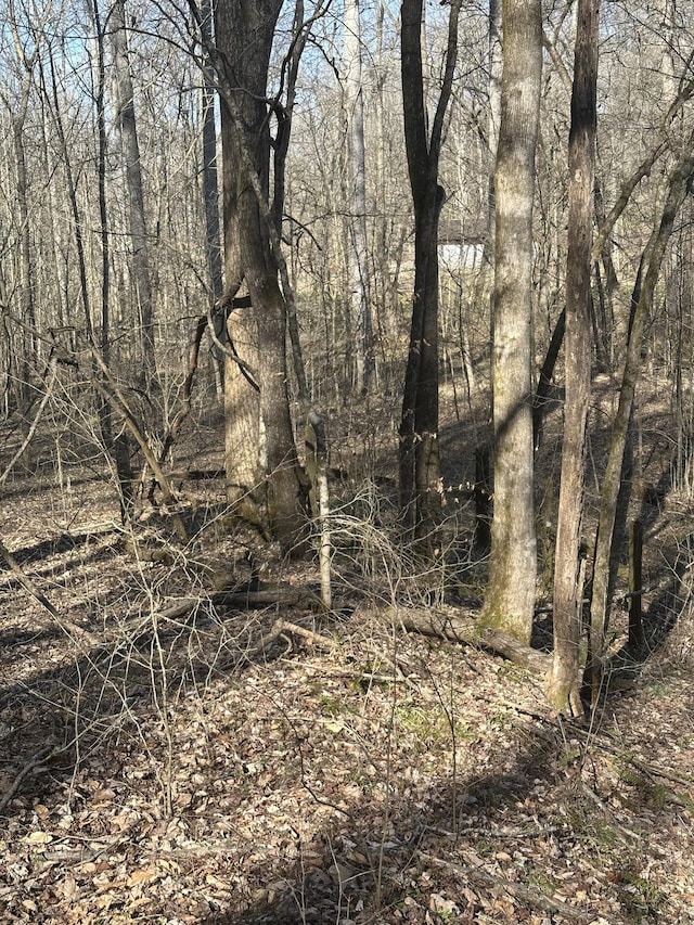 0 Buck Branch Rd, Duck River, TN 38454