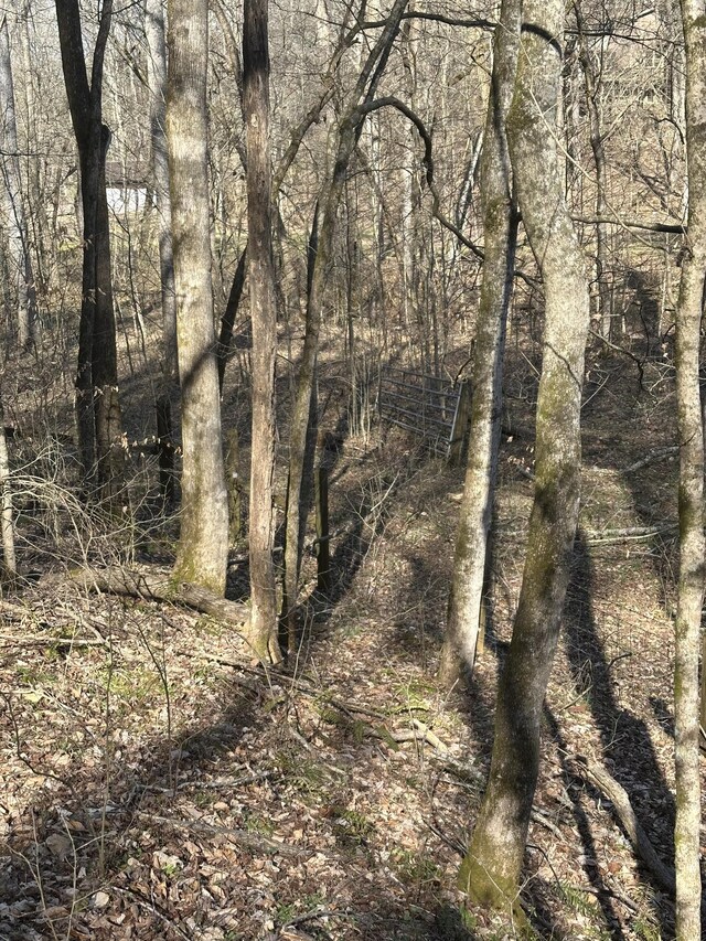0 Buck Branch Rd, Duck River, TN 38454