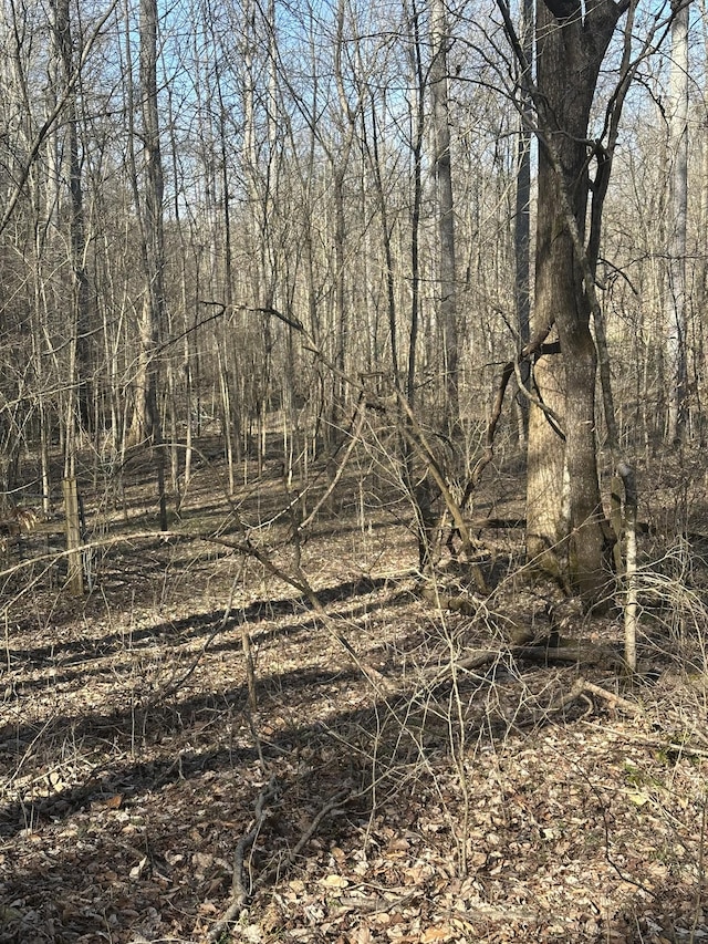 0 Buck Branch Rd, Duck River, TN 38454