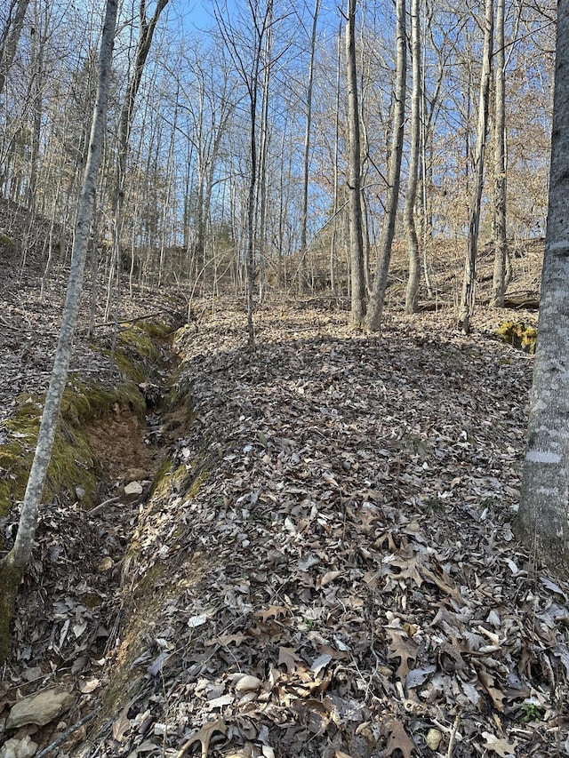 0 Buck Branch Rd, Duck River, TN 38454