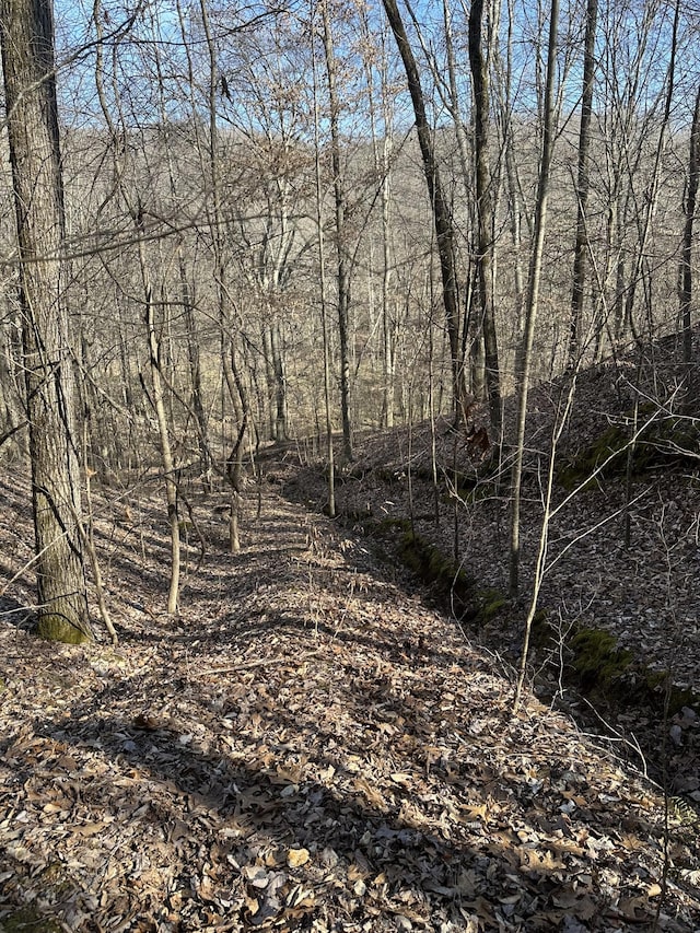 0 Buck Branch Rd, Duck River, TN 38454