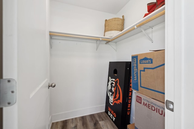 spacious closet featuring wood finished floors