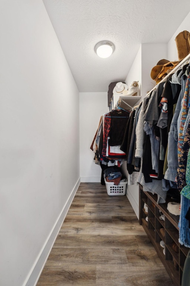 walk in closet featuring wood finished floors