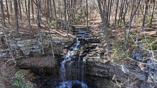 view of local wilderness