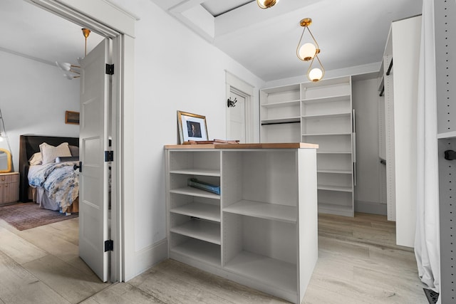 walk in closet with light wood finished floors