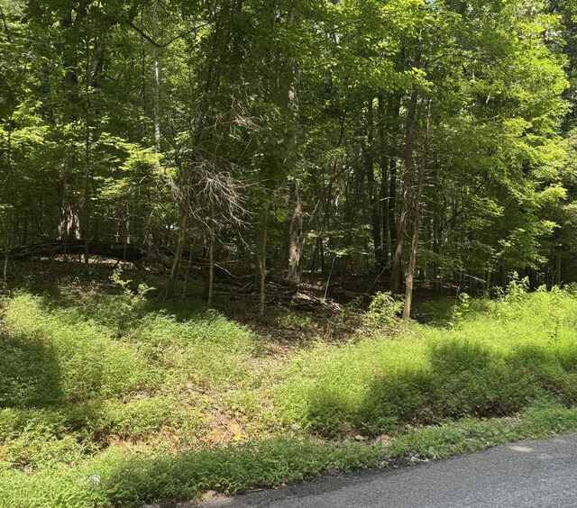 0 Old Stage Rd, Dickson, TN 37055 - photo 2