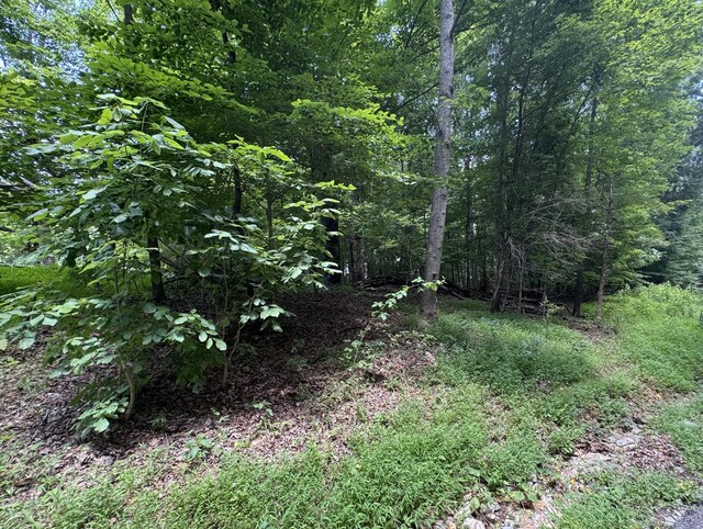0 Old Stage Rd, Dickson, TN 37055 - photo 3